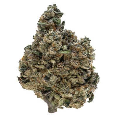 Tribal - Gran Turismo 3.5g Dried Flower