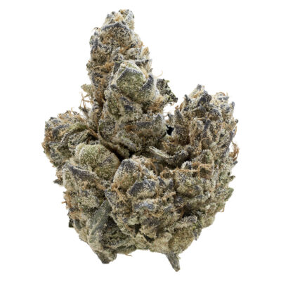 Nugz - Florida Oranges 7g Dried Flower