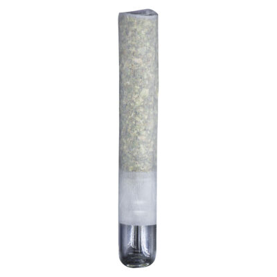 Northern Canna | The Collective Infused | Pre-Roll 1x1g
