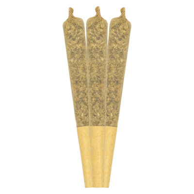 RAD - Tropical Beast Infused Pre-Roll 3x0.5g Distillates