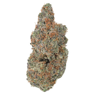 Coterie - Strawberry Gary 7g Craft Flower