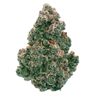 Back Forty - Liquid Imagination 14g Dried Flower