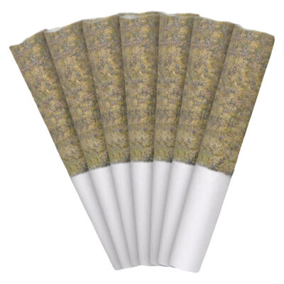 Nugz - Florida Oranges 7x0.5g Pre-Rolls