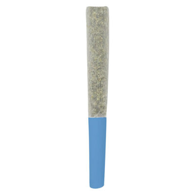 SlurpZ - Blueberry Double Infused Pre-Roll 3x0.5g Resin