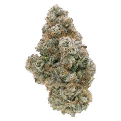 Northern Canna - Galactic Guava 3.5g Craft Flower