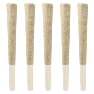 Dom Jackson - Gas Pack 5x0.5g Pre-Rolls