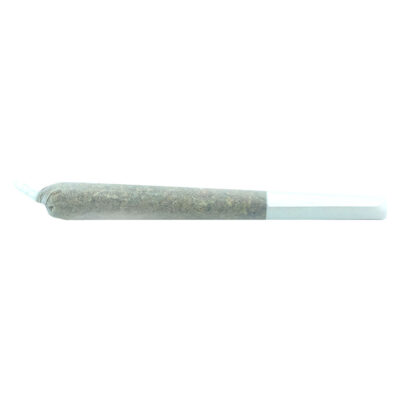 Truro - Truffle Treats 1x0.5g Pre-Rolls