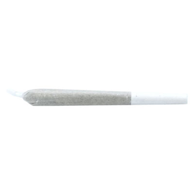 Truro - Peggys Puff Hash Infused Pre-Roll 1x0.5g Hash and Kief