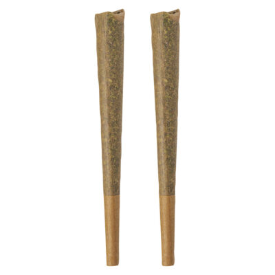 BOLD - GLAZED Sativa - 2x1g Pre-Rolls