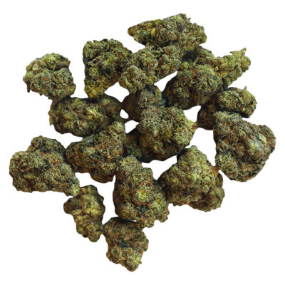BOLD - Root Beer Float 14g Dried Flower