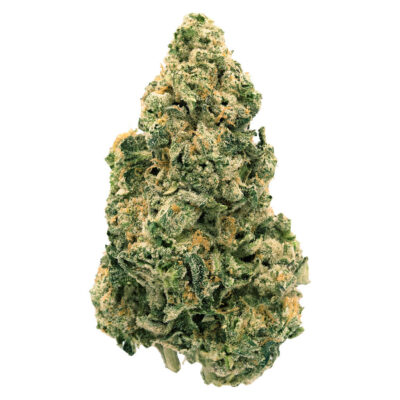 Back Forty - Galactic Jack 28g Dried Flower NEW