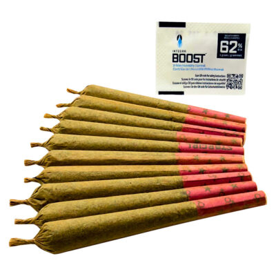 SPACE RACE CANNABIS - Stargals - 10x1g Pre-Rolls NEW